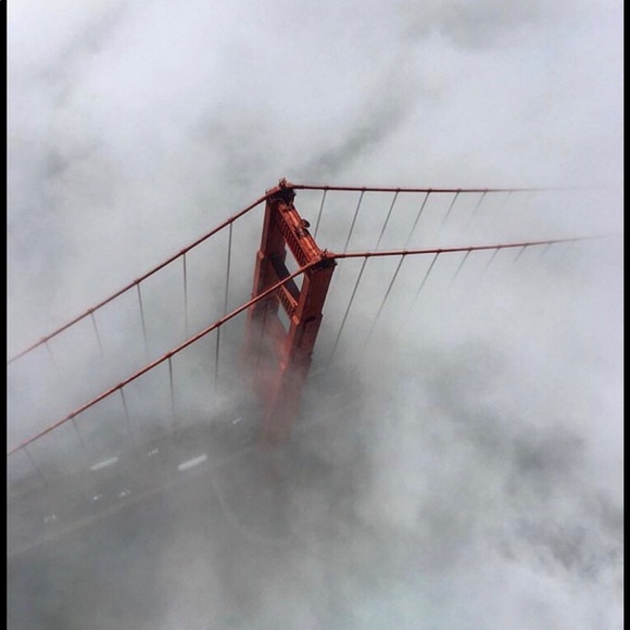 POSH AMBASSADOR 2 & suggested user.. 😊 - Picture 5 of 17